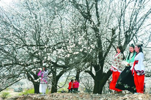 NBA 55直播现场